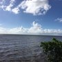 Photo of Chapman Field Marina
