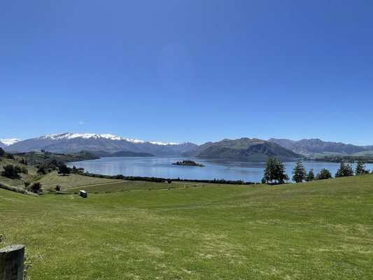 Rippon by null