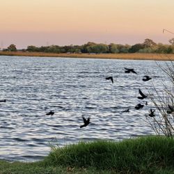 Braunig Lake Park