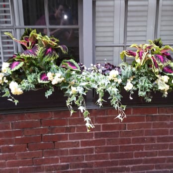 Rouvalis Flowers & Garden - Florists Near Me - Boston, Massachusetts Rouvalis Flowers & Garden - Florists Near Me - Boston, Massachusetts
