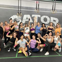 Gator Training - Miami Beach