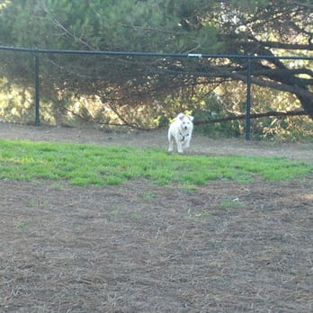 El Segundo Dog Park - Dog Parks Near Me - El Segundo, California El Segundo Dog Park - Dog Parks Near Me - El Segundo, California