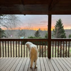 Barkwells - Our dog Stormie on the porch and this beautiful sunrise.
