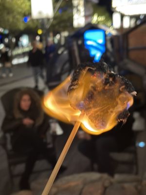 Camp Wharf at the Firepit by null