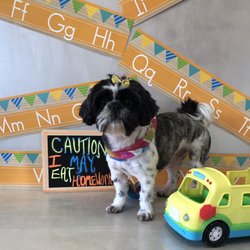 Pet Locks Grooming