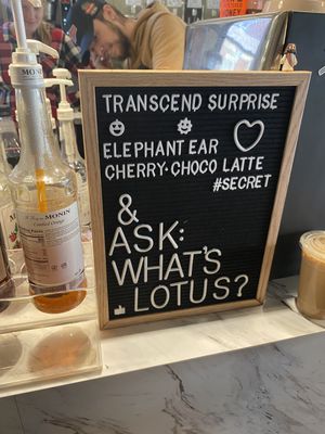 Transcend Coffee + Roastery by null