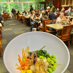 Base Camp Eatery - Teriyaki Bowl (half order)