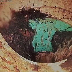 Al Mac Plumbing & Gas