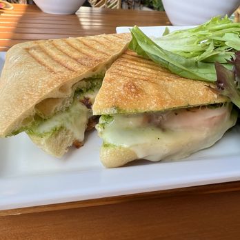 Acai Jungle Cafe - Pesto Chicken Panini - Sandwiches Near Me - Burbank, California