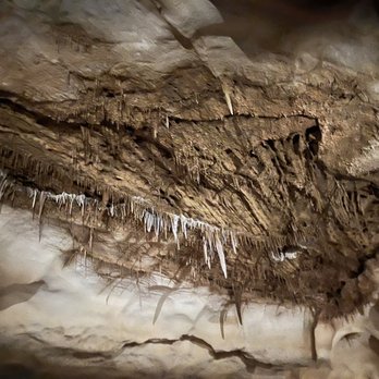 Inner Space Cavern - Tours Near Me - Georgetown, Texas