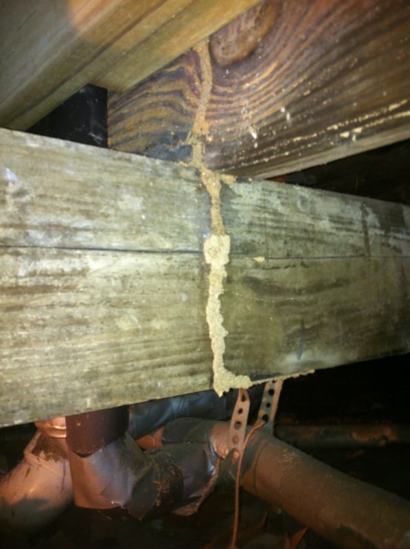 Environmental Health Specialties, Inc. - septic in Highlands, TX