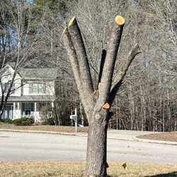Wintergreen Landscaping
