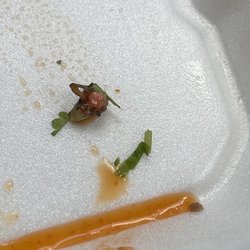 Bug