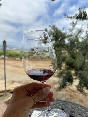 Hungry Hawk Vineyards & Winery by null