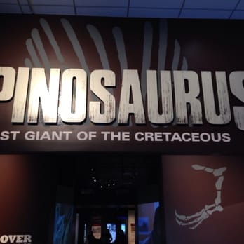 National Geographic Museum - Museums Near Me - Washington, DC, District of Columbia