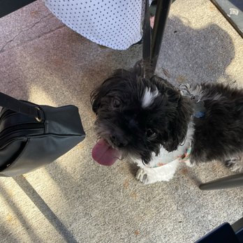 Anthony's Coal Fired Pizza & Wings - Dog friendly outside seating. - Pizza Near Me - N Wayne, New Jersey Anthony's Coal Fired Pizza & Wings - Dog friendly outside seating. - Pizza Near Me - N Wayne, New Jersey