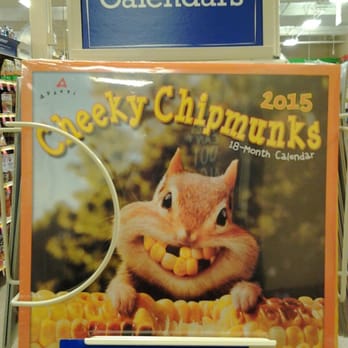 squirrel food petsmart