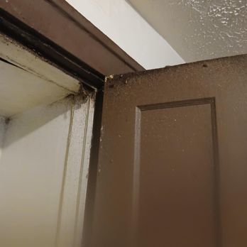 Rainbow Realty Group - Roach infestation Roach infestation and ceiling budging - Property Management Near Me - Indianapolis, Indiana
