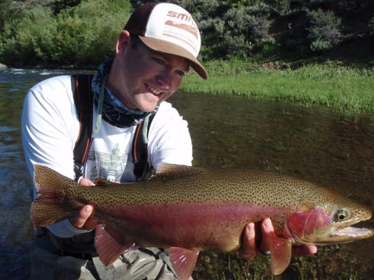 Matt Heron Fly Fishing by null