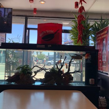 Ck Fish World - Entrance at hoys wok Chinese restaurant in hollywood, thanks to Peter at CK Fish World! - Local Fish Stores Near Me - West Covina, California