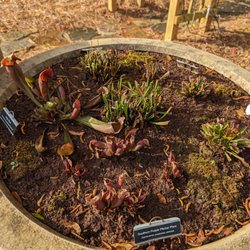 New Hanover County Arboretum