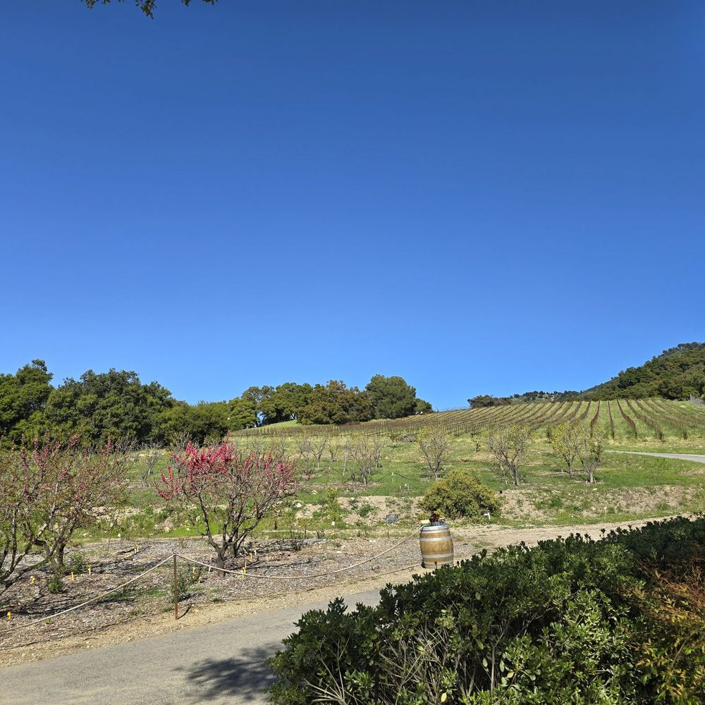 Old Creek Ranch Winery - Amazing views - Venues & Event Spaces Near Me - Ventura, California Old Creek Ranch Winery - Amazing views - Venues & Event Spaces Near Me - Ventura, California