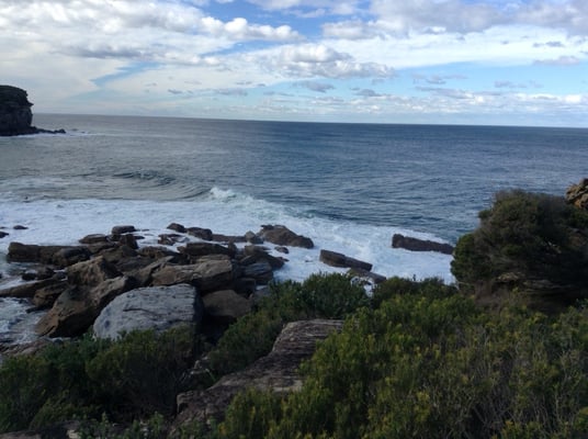 Royal National Park by null