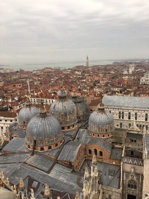 St Mark's Campanile by null