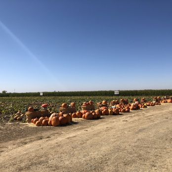 Perry's Pumpkin Farm - Pumpkin Patches Near Me - Sacramento, California Perry's Pumpkin Farm - Pumpkin Patches Near Me - Sacramento, California