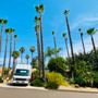 Photo of Lifetime Tree Service