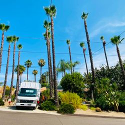Lifetime Tree Service