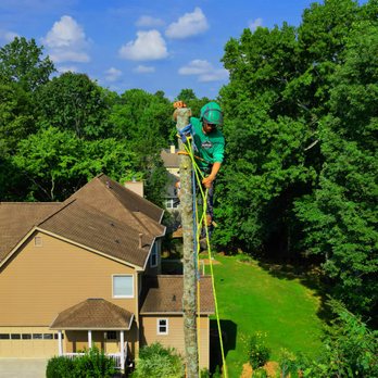 Resurgens Tree Service - 24/7 Emergency Tree Removal in Flowery Branch! Licensed & Insured. Call for a Fast Free Estimate! - Tree Services Near Me - Flowery Branch, Georgia Resurgens Tree Service - 24/7 Emergency Tree Removal in Flowery Branch! Licensed & Insured. Call for a Fast Free Estimate! - Tree Services Near Me - Flowery Branch, Georgia