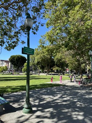 Washington Square by null