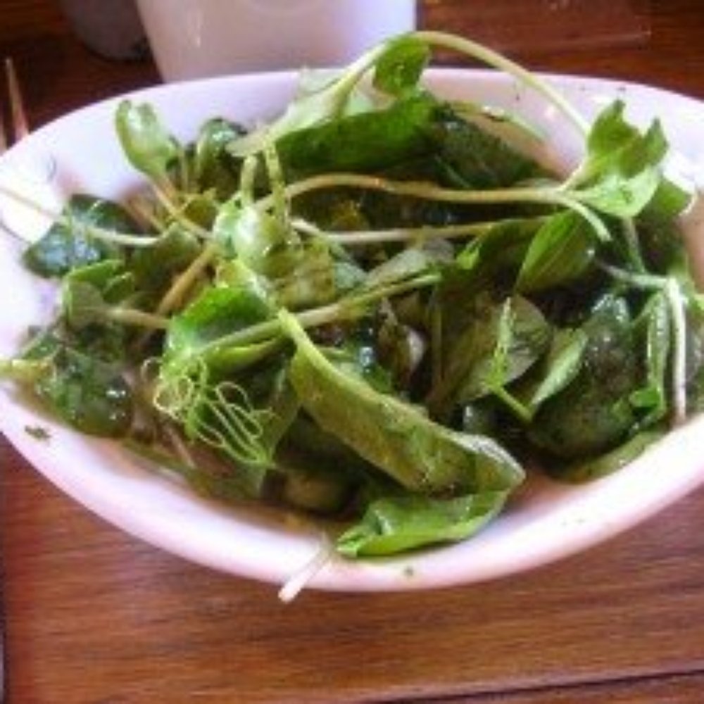 Cornucopia - Small salad. - Vegan Near Me - Dublin, D