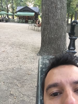 Medici Fountain by null