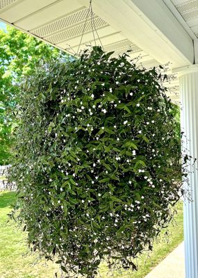 Strawberry Hill Farms by null