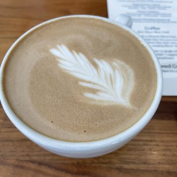 Frothy Monkey - Turtle Latte - Cafes Near Me - Birmingham, Alabama