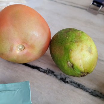 Hello Fresh - "Fresh" produce - Food Delivery Services Near Me