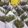 The Lavender Hill Farm gift card
