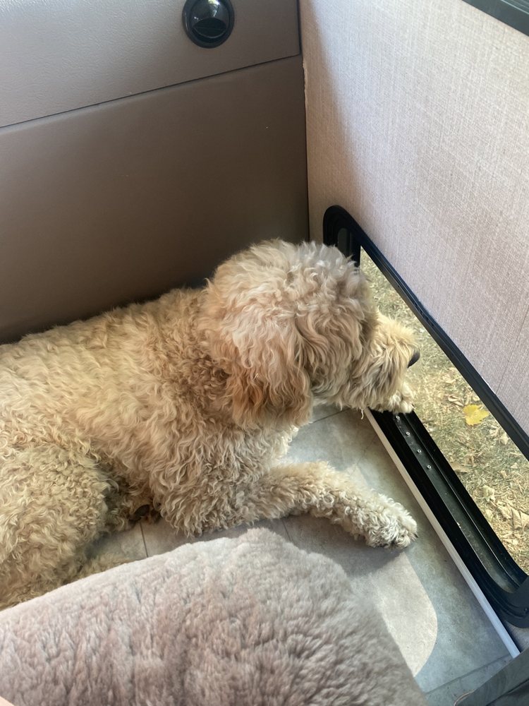 PETOPIA Updated August 2024 920 N 3rd St, Grand Forks, North Dakota