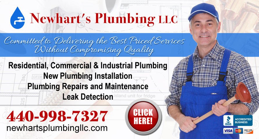 Slide of Newhart's Plumbing