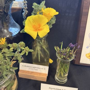 Ford House Visitor Center - Flora displays - Visitor Centers Near Me - Mendocino, California Ford House Visitor Center - Flora displays - Visitor Centers Near Me - Mendocino, California