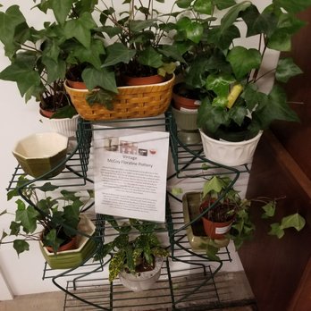 Art Terrarium - Vintage pots - Nurseries & Gardening Near Me - Des Moines, Iowa Art Terrarium - Vintage pots - Nurseries & Gardening Near Me - Des Moines, Iowa