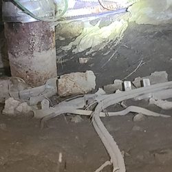 MVP Plumbing & Drain Services