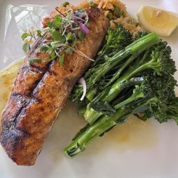Salmon