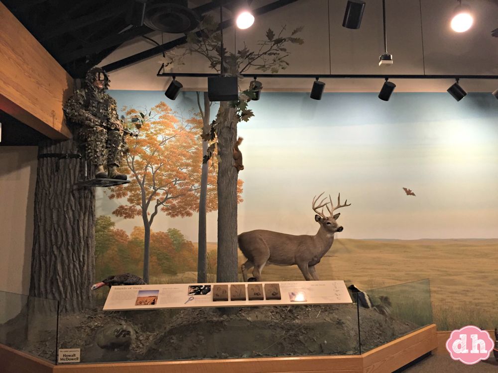 Outdoor Campus Game Fish & Parks