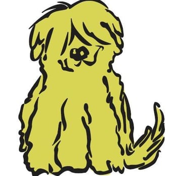 Good Dog Walking - Good Dog - Dog Walkers Near Me - Brooklyn, New York