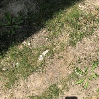 Apollo Construction & Contracting - More rocks in my yard - Masonry/Concrete Near Me Apollo Construction & Contracting - More rocks in my yard - Masonry/Concrete Near Me