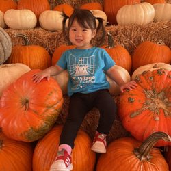 Torrance Pumpkin Patch