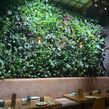 Mamarracha - Plant wall - Spanish Near Me - Seville, SE Mamarracha - Plant wall - Spanish Near Me - Seville, SE
